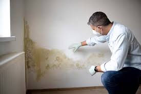 Best Mold Remediation for Vacation Homes  in Hornsby Bend, TX